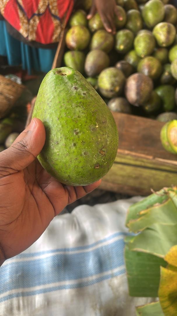 hand holding avocado