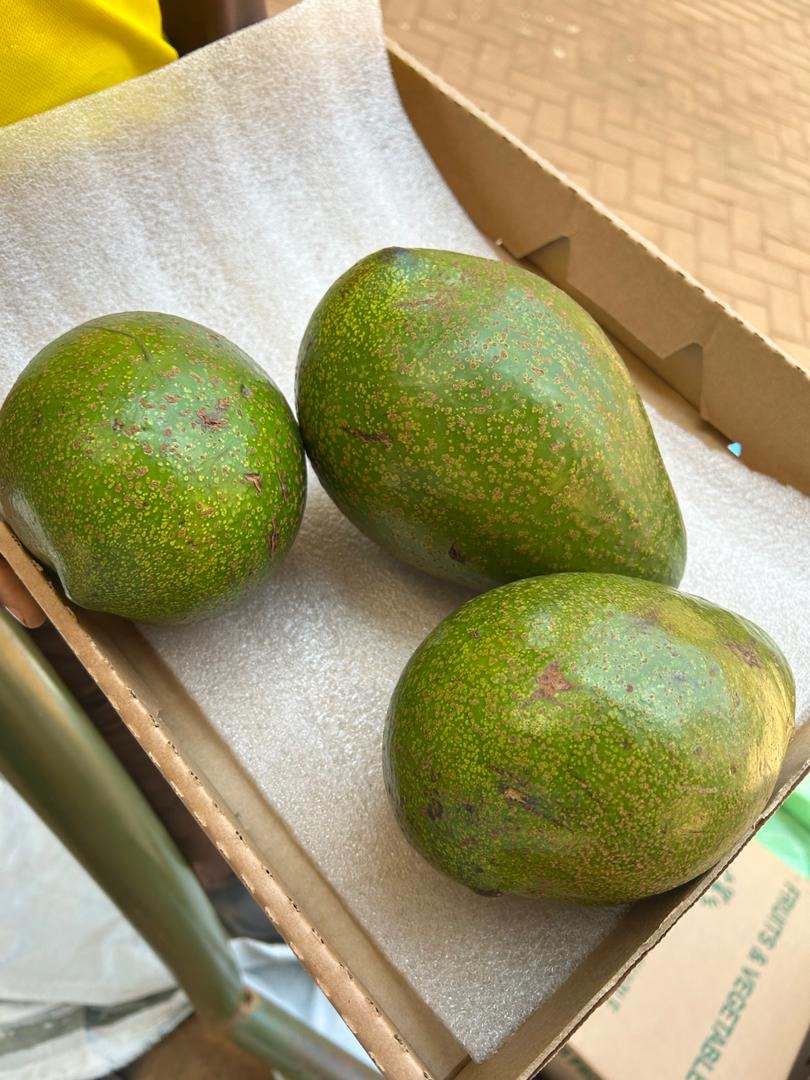 avocado